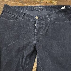 Theory Dark Navy Corduroy Button-Fly Pants 30 Waist